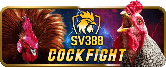 Hỗ trợ khách hàng 24/7 cpc3 code